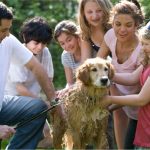 How to engage the whole family in pet-caring