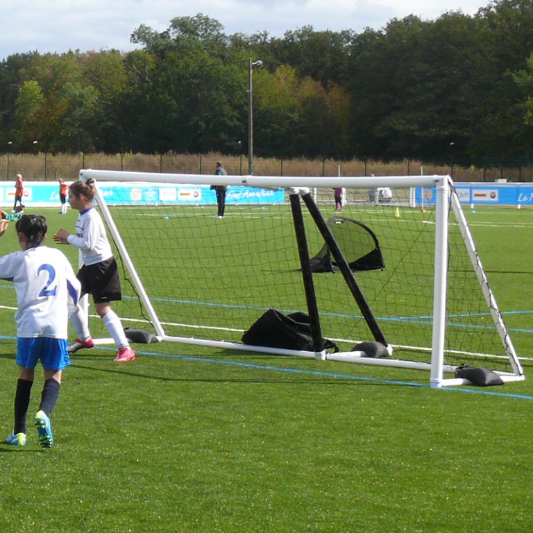 EcoWalker 12'x6' Professional Training Goal | High-Impact Resistance Net