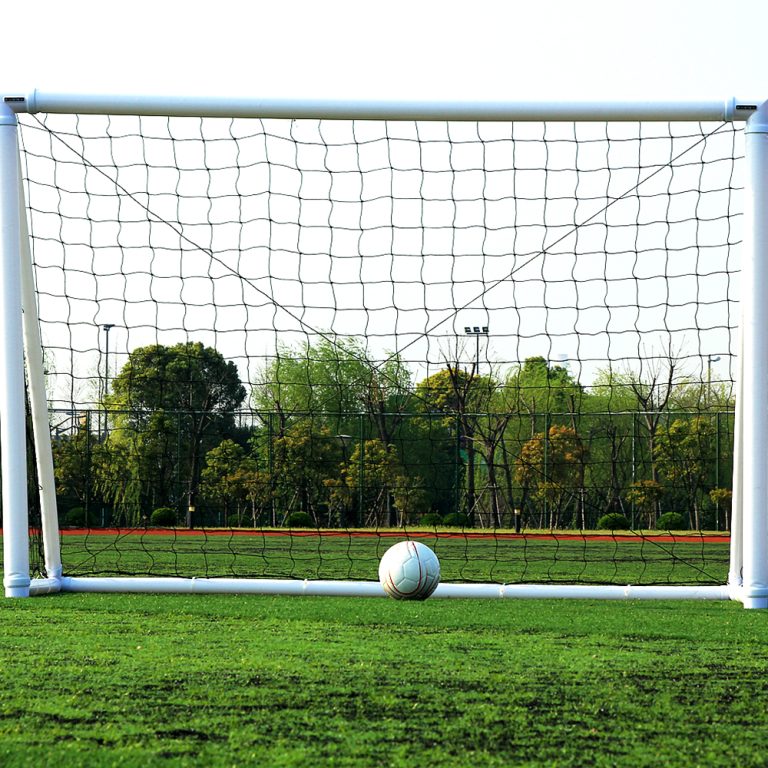 Youth Soccer Goal 8ft